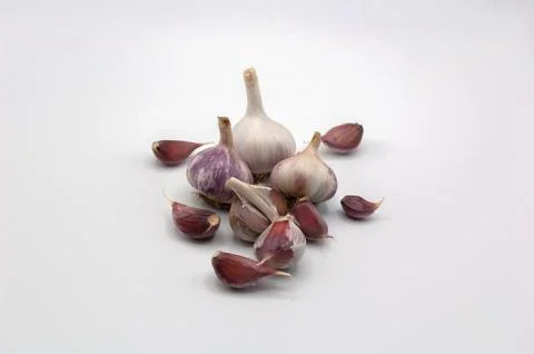 Garlic isolated on white background Stock Photos