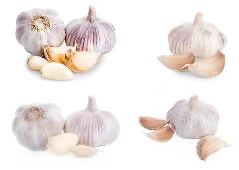 Garlic isolated on white background Stock Photos
