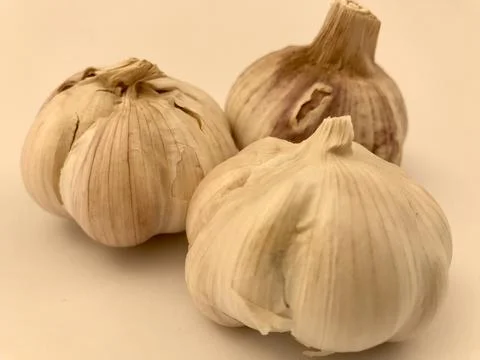 Garlic isolated on white background. Stock Photos
