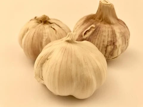 Garlic isolated on white background. Stock Photos