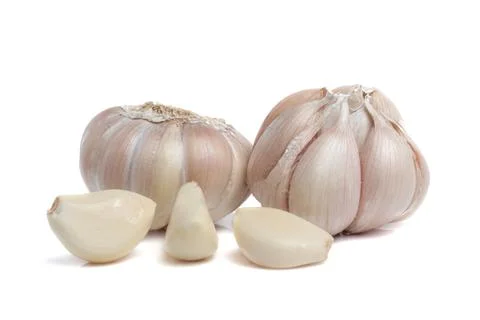 Garlic Isolated on white background Stock Photos