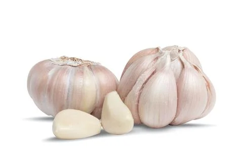 Garlic Isolated on white background Stock Photos