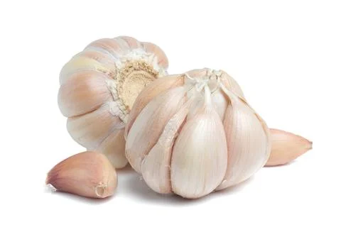 Garlic Isolated on white background 스톡 사진