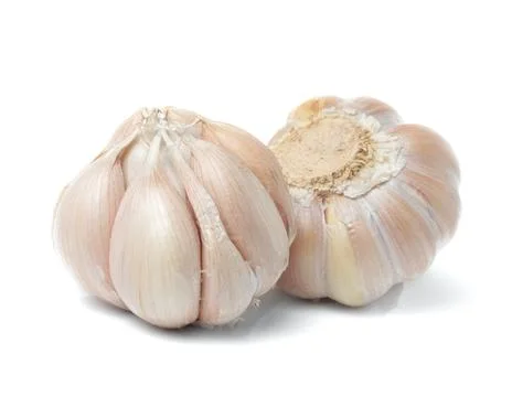 Garlic Isolated on white background 스톡 사진