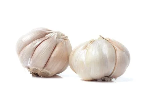 Garlic Isolated on white background Stock Photos