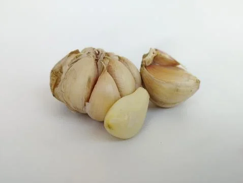 Garlic Isolated on white background Stock Photos