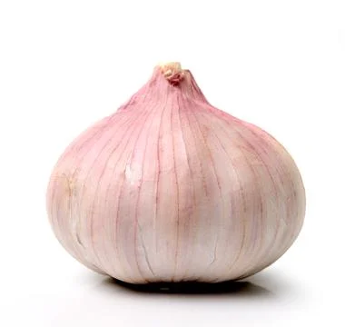 Garlic isolated on white background 写真素材
