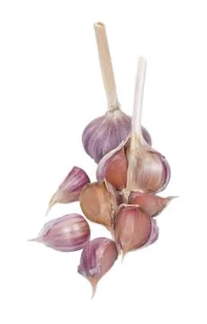 Garlic isolated on white Stock Photos