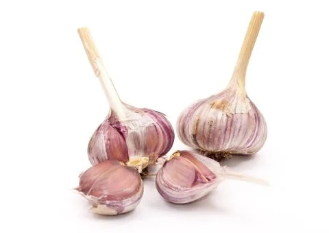 Garlic isolated on white Stock Photos