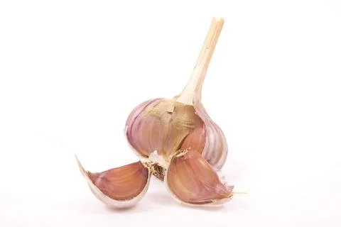 Garlic isolated on white Stock Photos