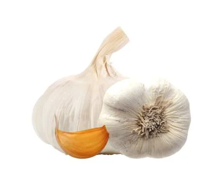 Garlic isolated on white Stock Photos