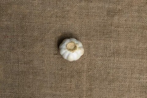 Garlic on jute fabrics background Stock Photos