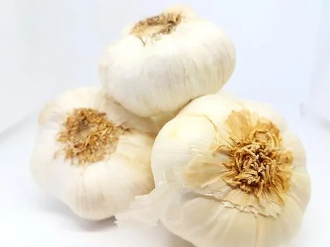 Garlic, Knoblauch Foto stock