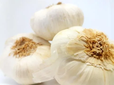 Garlic, Knoblauch Foto stock