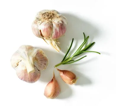 Garlic knobs and rosemary isolated on white; top view Stock Photos