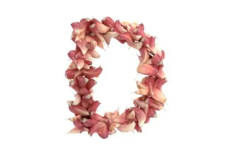 Garlic letter D on white background Ilustração Stock