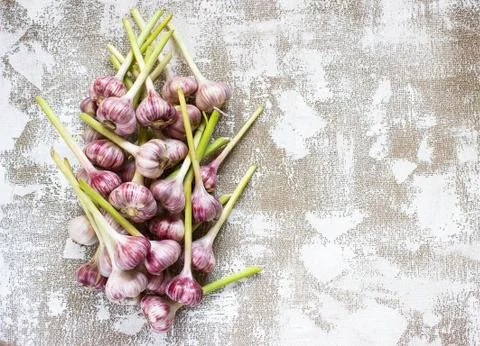 Garlic on a light background Stock Photos