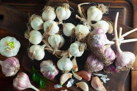 Garlic on old background Stock Photos