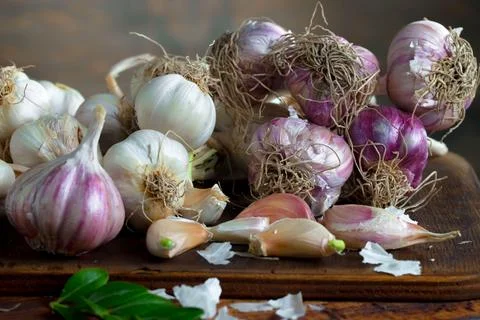 Garlic on old background Stock Photos