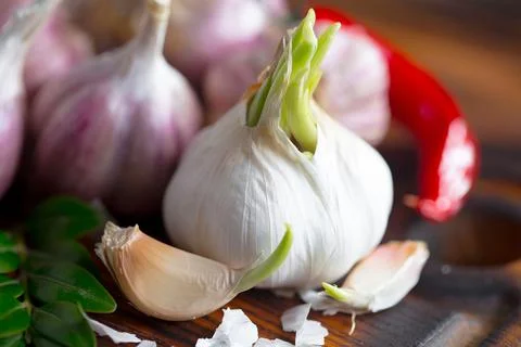 Garlic on old background Stock Photos