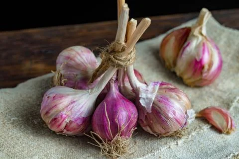 Garlic on old background Stock Photos