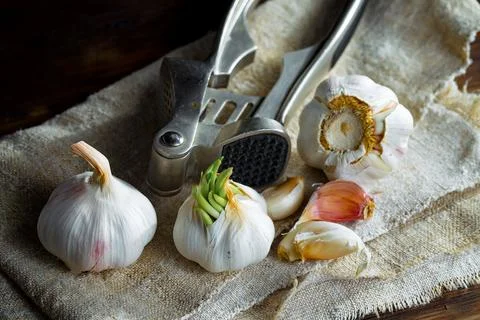 Garlic on old background Stock Photos