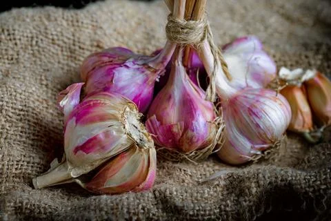Garlic on old background Stock Photos