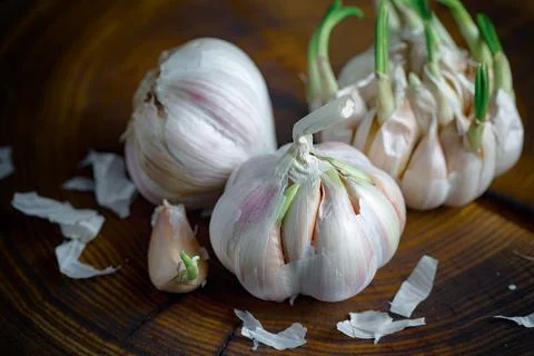 Garlic on old background Stock Photos