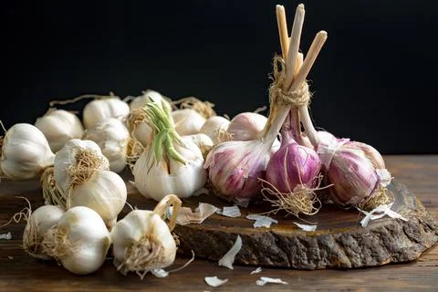 Garlic on old background Stock Photos