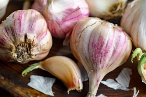Garlic on old background Stock Photos