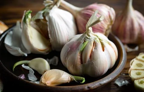 Garlic on old background Stock Photos
