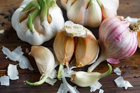 Garlic on old background Stock Photos