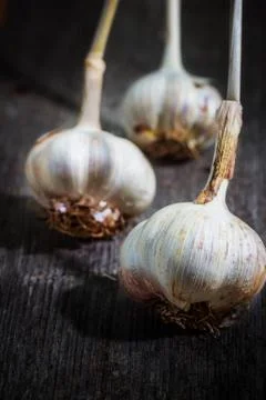 Garlic on an old board Stock Photos