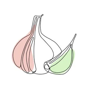 Garlic one continuous single drawing line art Stock Illustration