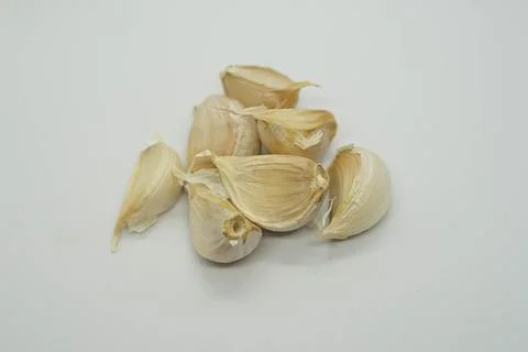 Garlic onion 写真素材