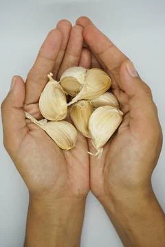 Garlic onion Stock Photos