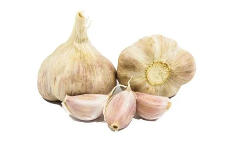 Garlic over a white background Stock Photos