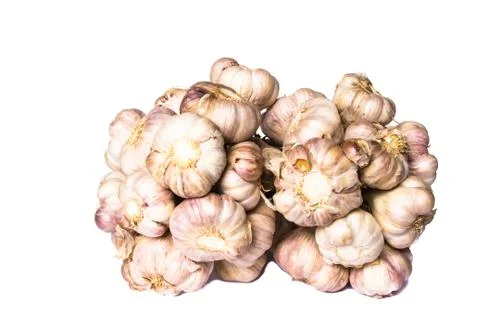 Garlic over a white background Stock Photos