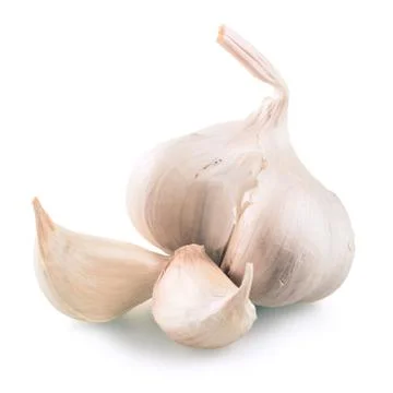 Garlic over white background Stock Photos
