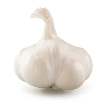 Garlic over white background Stock Photos