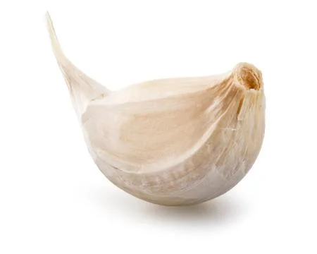 Garlic over white background Stock Photos