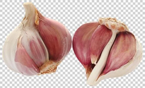 Garlic over white background Stock Photos