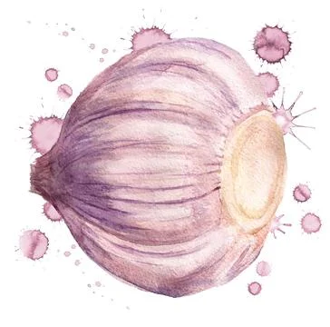 Garlic with paint blots Stock Illustration