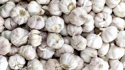 Garlic pattern for decoration, design and advertising. Stock Footage 257781160