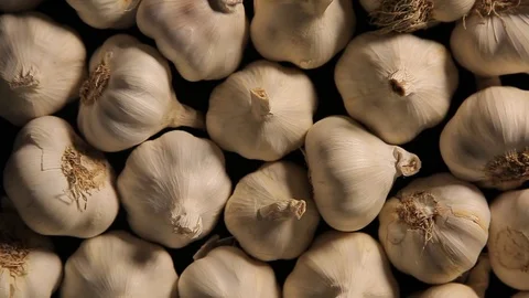 Garlic pattern with moving lights and shadows Stock Footage 83675764