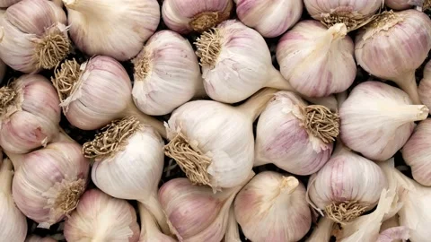 Garlic in the peel, rotation. Stock Footage 138344359