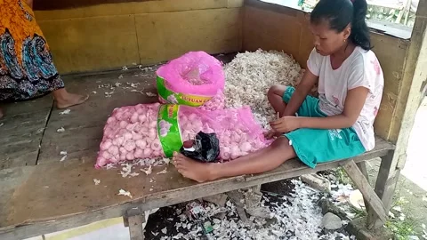 Garlic peeling service Stock Footage 171602001