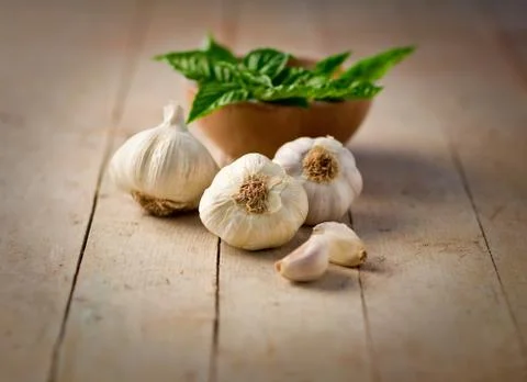 Garlic Stock Photos