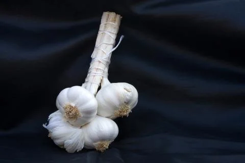 Garlic Stock Photos