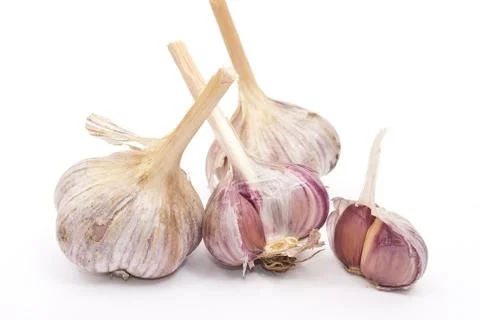 Garlic Stock Photos